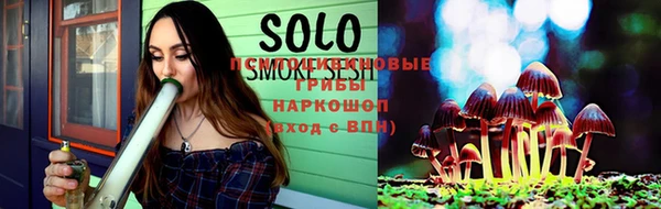 мдпв Няндома