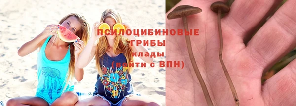 мдпв Няндома